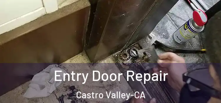  Entry Door Repair Castro Valley-CA