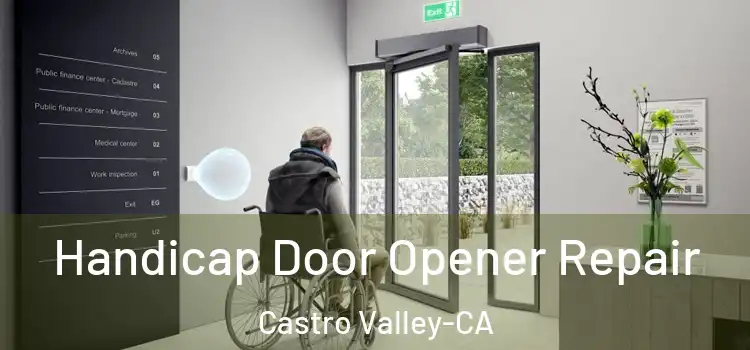  Handicap Door Opener Repair Castro Valley-CA