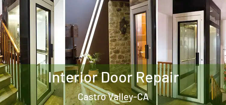  Interior Door Repair Castro Valley-CA